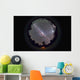 Fish-eye Panorama Southern Night Wall Decal