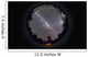 Fish-eye Panorama Southern Night Wall Decal
