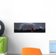 Panorama Southern Night Sky Wall Decal