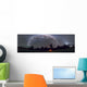 Panorama Southern Night Sky Wall Decal