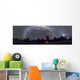 Panorama Southern Night Sky Wall Decal