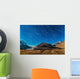 Star Trails over Columbia Wall Decal