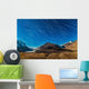 Star Trails over Columbia Wall Decal