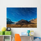 Star Trails over Columbia Wall Decal