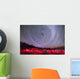 Circumpolar Star Trails above Wall Decal