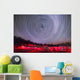 Circumpolar Star Trails above Wall Decal