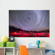 Circumpolar Star Trails above Wall Decal