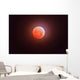 Total Eclipse Moon Wall Decal