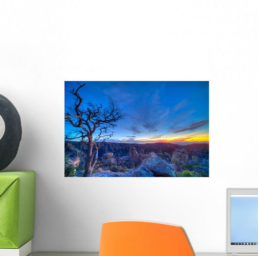 Evening Twilight Chiricahuas National Wall Decal