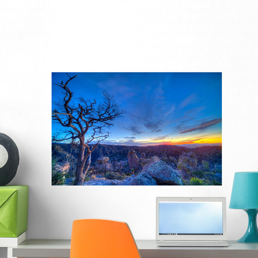 Evening Twilight Chiricahuas National Wall Decal