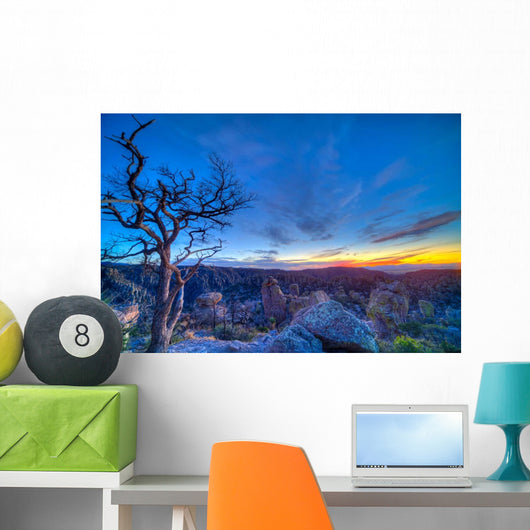 Evening Twilight Chiricahuas National Wall Decal