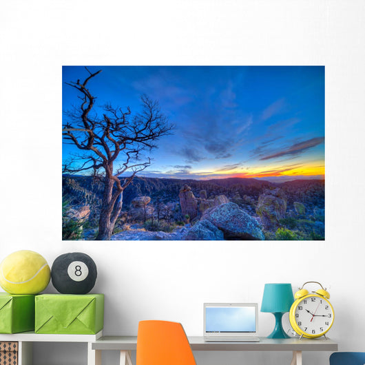 Evening Twilight Chiricahuas National Wall Decal