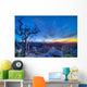 Evening Twilight Chiricahuas National Wall Decal