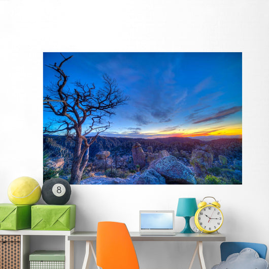 Evening Twilight Chiricahuas National Wall Decal