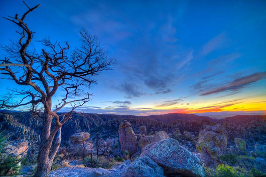 Evening Twilight Chiricahuas National Wall Decal