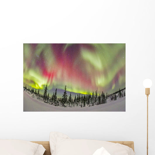 Aurora Borealis over Churchill Wall Decal Design 1