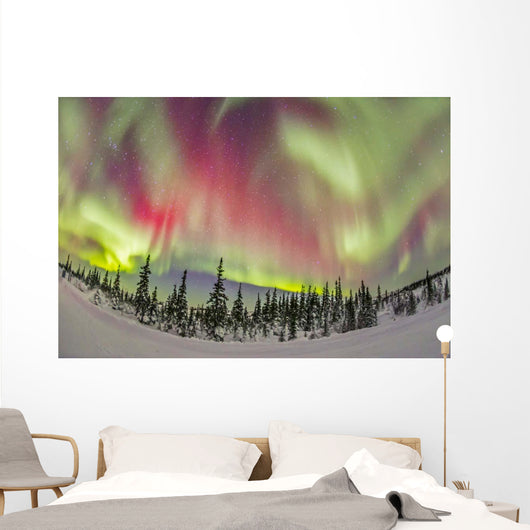 Aurora Borealis over Churchill Wall Decal Design 1