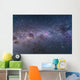 Southern Milky Way from Wall Decal