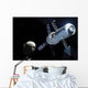 Orion Module Orbiting Asteroid Wall Decal