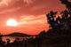From Surface Earth-like Exoplanet Wall Decal
