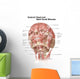 Anterior Neck and Facial Wall Decal Design 1