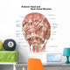 Anterior Neck and Facial Wall Decal Design 1