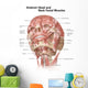 Anterior Neck and Facial Wall Decal Design 1