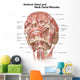 Anterior Neck and Facial Wall Decal Design 1