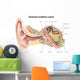 External Auditory Canal Human Wall Decal Design 1