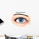 External Anatomy Human Eye Wall Decal Design 1