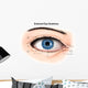 External Anatomy Human Eye Wall Decal Design 1
