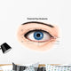 External Anatomy Human Eye Wall Decal Design 1