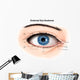 External Anatomy Human Eye Wall Decal Design 1