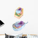 Comparative Illustration Plant and Wall Decal Design 2