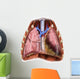 Artist Depiction Mesothelioma Lungs Wall Decal
