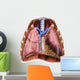 Artist Depiction Mesothelioma Lungs Wall Decal