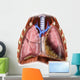 Artist Depiction Mesothelioma Lungs Wall Decal