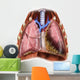 Artist Depiction Mesothelioma Lungs Wall Decal