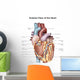 Anterior Human Heart Wall Decal Design 2