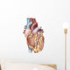 Anterior Human Heart Wall Decal Design 1