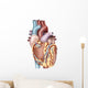 Anterior Human Heart Wall Decal Design 1
