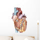 Anterior Human Heart Wall Decal Design 1