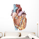 Anterior Human Heart Wall Decal Design 1