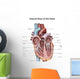 Internal Human Heart Wall Decal Design 2