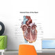 Internal Human Heart Wall Decal Design 2