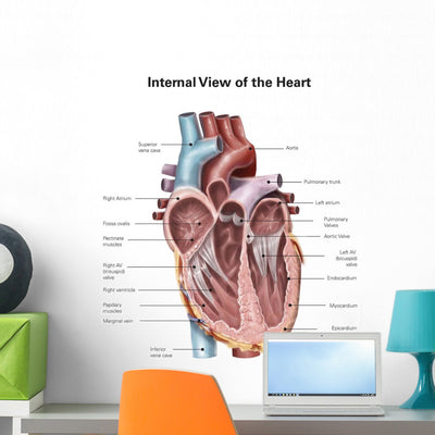 Internal Human Heart Wall Decal Design 2 shown on a wall