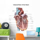 Internal Human Heart Wall Decal Design 2