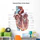 Internal Human Heart Wall Decal Design 2