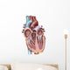 Internal Human Heart Wall Decal Design 1