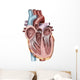Internal Human Heart Wall Decal Design 1